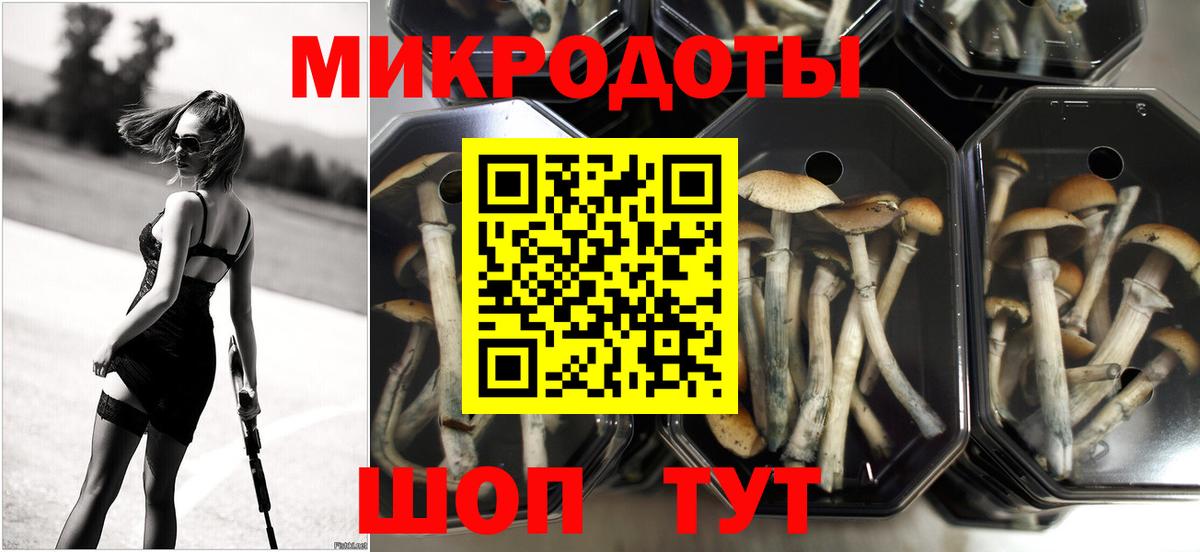 где купить наркотик  Галлюциногенные грибы прущие грибы  Вход с VPN  Красный Сулин 